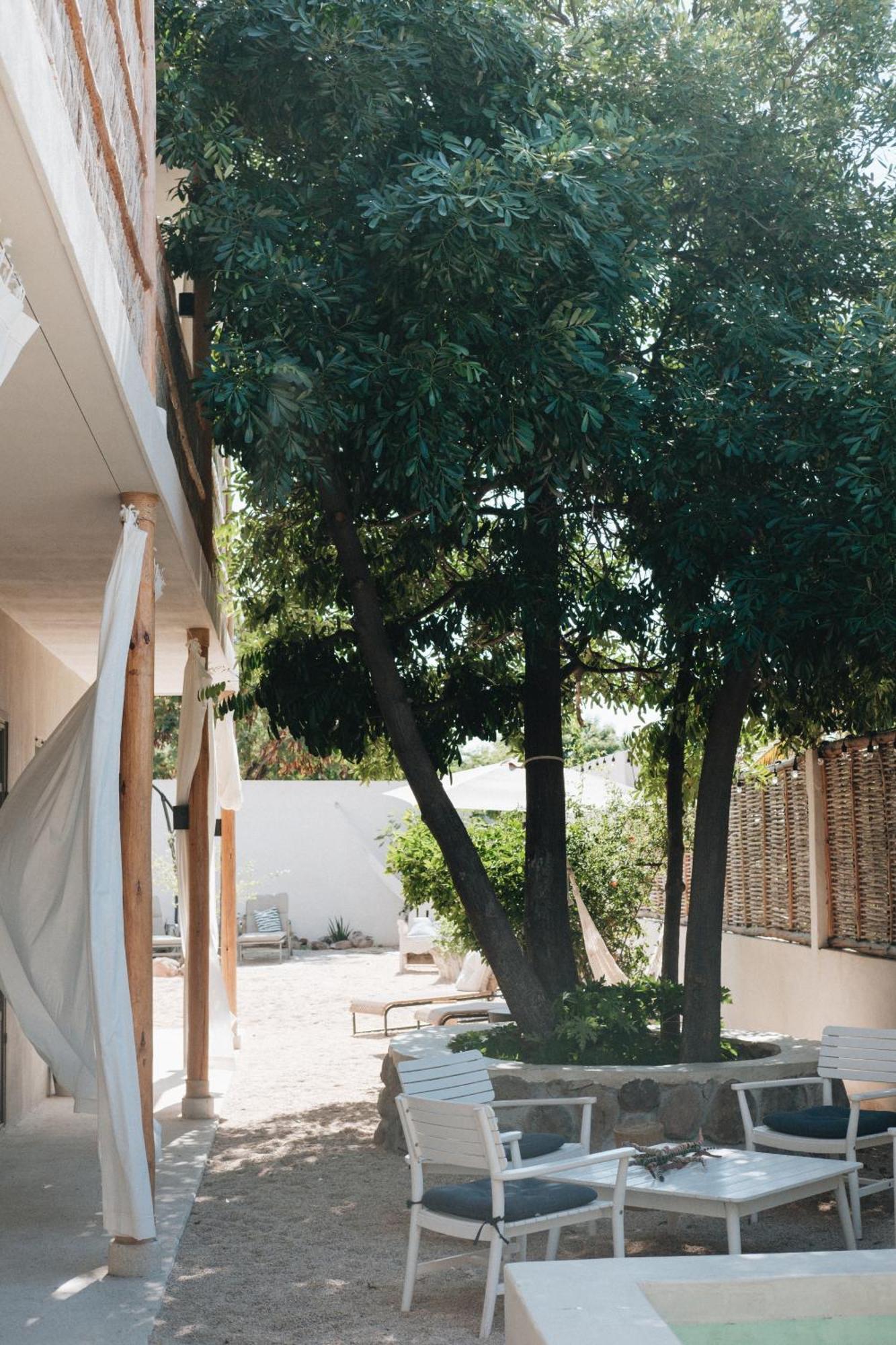 라파스 The Mantarraya Outpost B&B 외부 사진